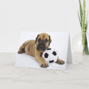 Great Dane Puppy with Soccer Ball Card