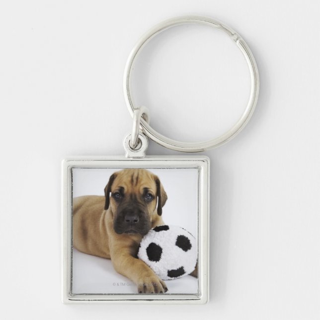 Great Dane Puppy with Soccer Ball Key Ring (Front)