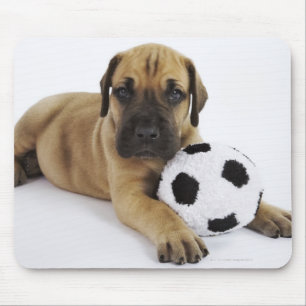 Great Dane puppy with toy soccer ball Mouse Mat
