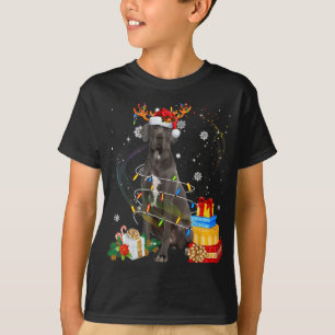 Great Dane Reindeer Christmas Lights Funny Dog Xma T-Shirt