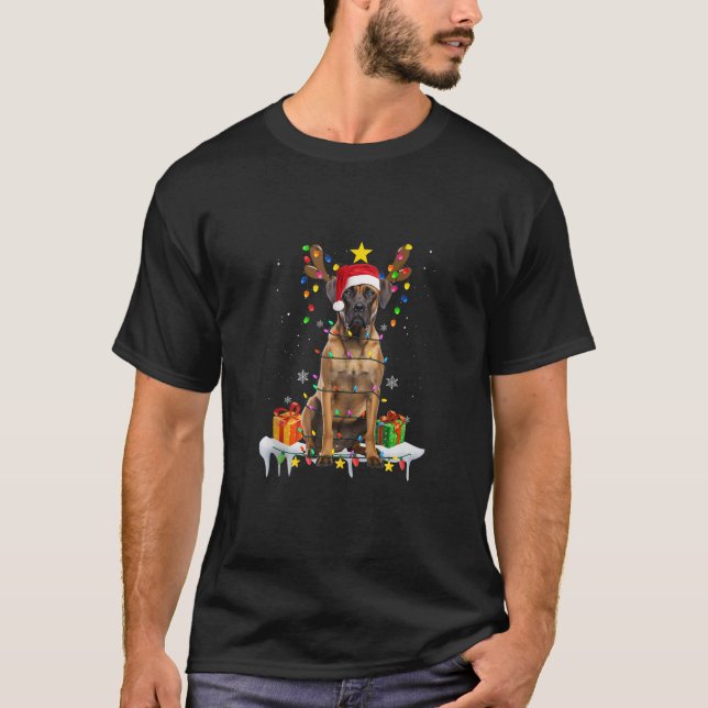 Great Dane Reindeer Christmas Tree Lights Xmas Boy T-Shirt (Front)