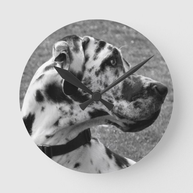 GREAT DANE ROUND CLOCK (Front)