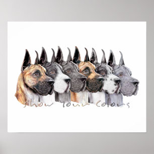 Great Dane Show Colors Group Poster