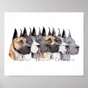 Great Dane Show Colors Group Poster
