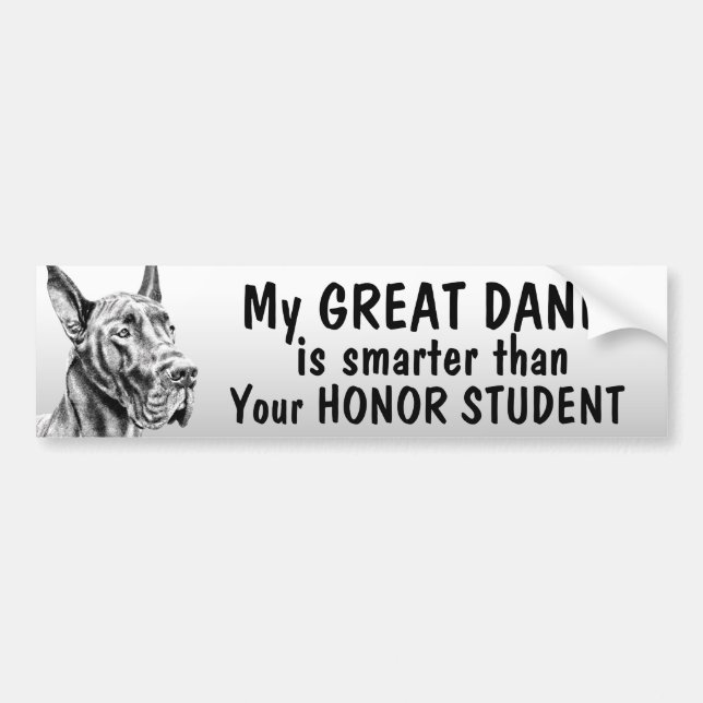 Great Dane - Smarter than honour student - funny Bumper Sticker (Front)