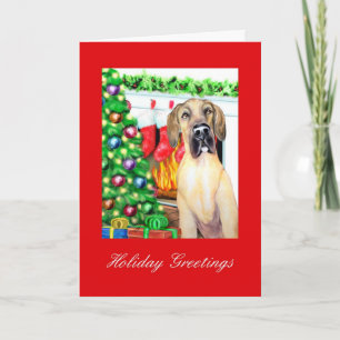Great Dane Stockings Fawn UC Holiday Card