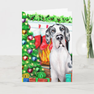 Great Dane Stockings Harlequin UC Holiday Card