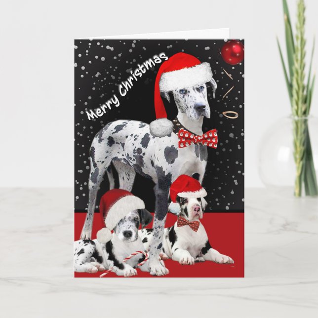Great Dane Time For Fun Holiday Card (Front)