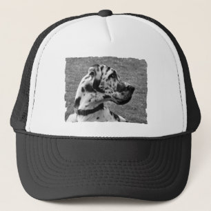 GREAT DANE TRUCKER HAT