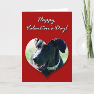 Great Dane Valentines Day Card