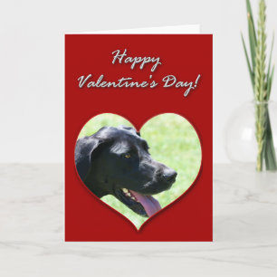 Great Dane Valentines Day Card