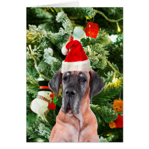 Great Dane w Christmas Tree Gift Boxes Santa Hat