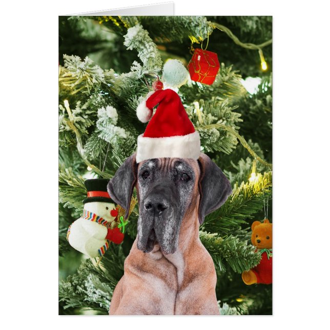 Great Dane w Christmas Tree Gift Boxes Santa Hat (Front)