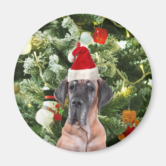 Great Dane w Christmas Tree Gift Boxes Santa Hat Magnet (Front)