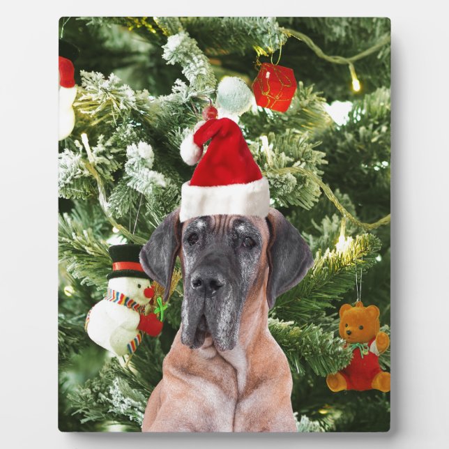 Great Dane w Christmas Tree Gift Boxes Santa Hat Plaque (Front)
