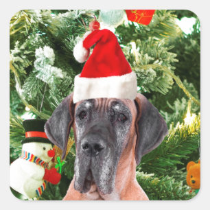 Great Dane w Christmas Tree Gift Boxes Santa Hat Square Sticker