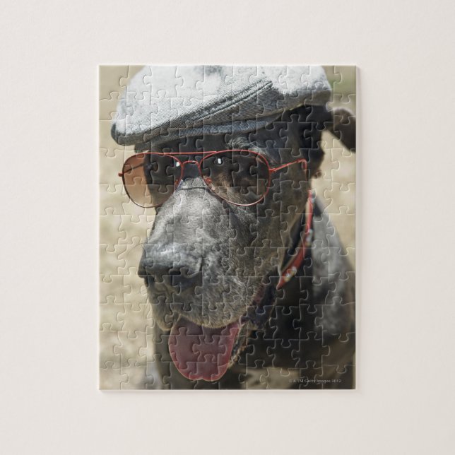 Great Dane wearing hat and sunglasses Jigsaw Puzzle (Vertical)