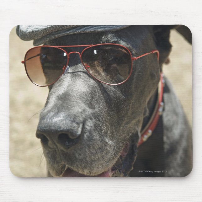 Great Dane wearing hat and sunglasses Mouse Mat (Front)