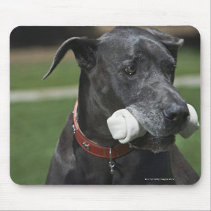 Great Dane with bone Mouse Mat