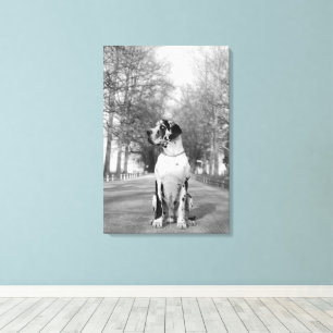 Great Dane Wrapped Canvas
