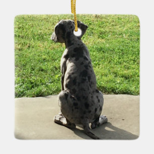 Great Dane's 1st X-Mas Ceramic Ornament