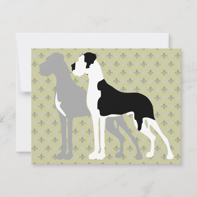 Great Danes Blue Boston (Front)