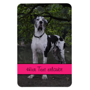 Great Danes Magnet