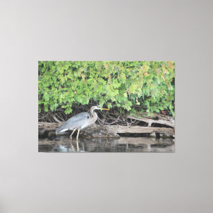 Great Day For A Stroll Canvas Print