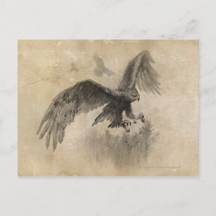 Great Eagles Sketch Postcard