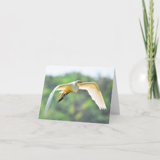 Great Egret #1 - Blank Note Card