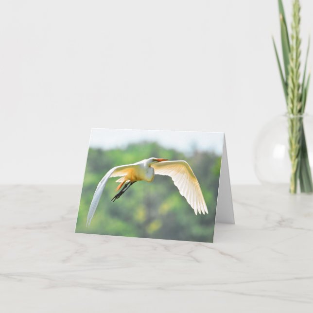 Great Egret #1 - Blank Note Card (Front)