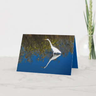 Great Egret #1 Greeting Card