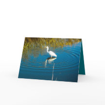 Great Egret #3 Greeting Card
