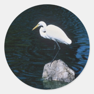 Great Egret Classic Round Sticker