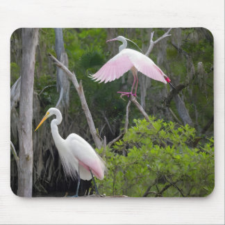 Great Egret Dominance Over Roseate Spoonbill. Mouse Mat