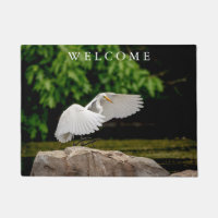 Great Egret
