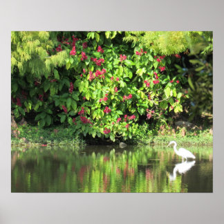 Great Egret Fishing - Beautiful Landscape Poster