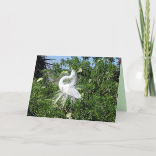 Great Egret Greeting Card