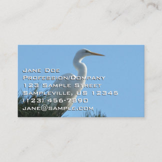 Great Egret in Sunny Florida Business Card
