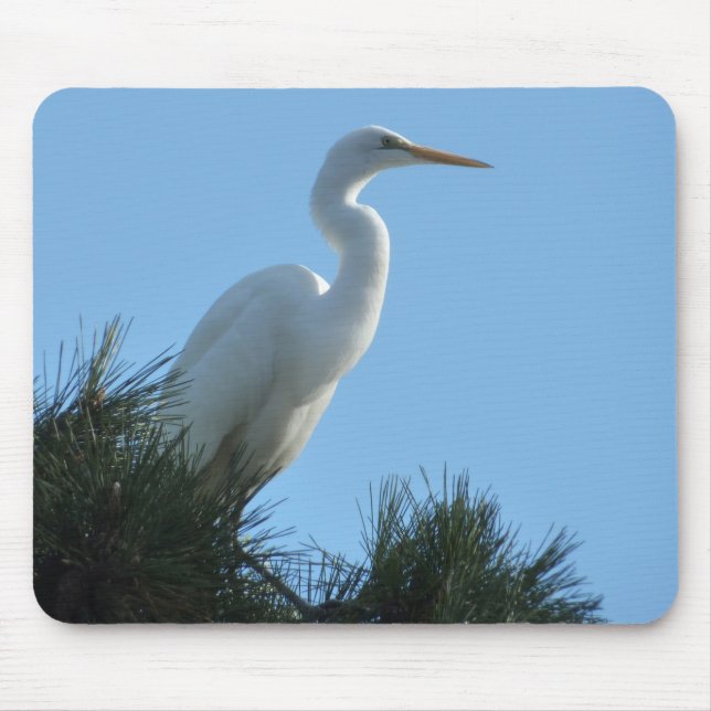 Great Egret in Sunny Florida Mouse Mat (Front)