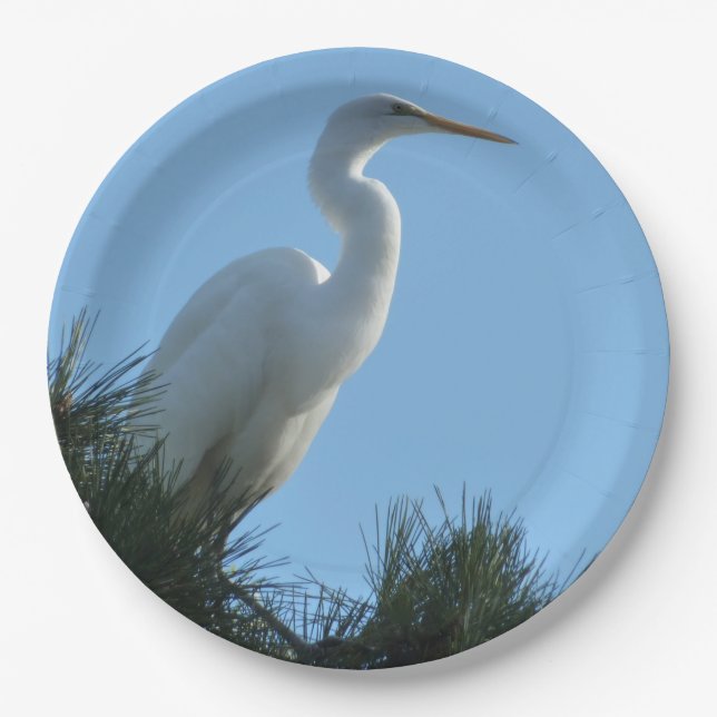 Great Egret in Sunny Florida Paper Plate (Front)