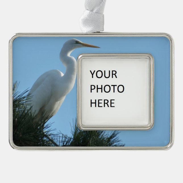 Great Egret in Sunny Florida Silver Plated Framed Ornament (Front)