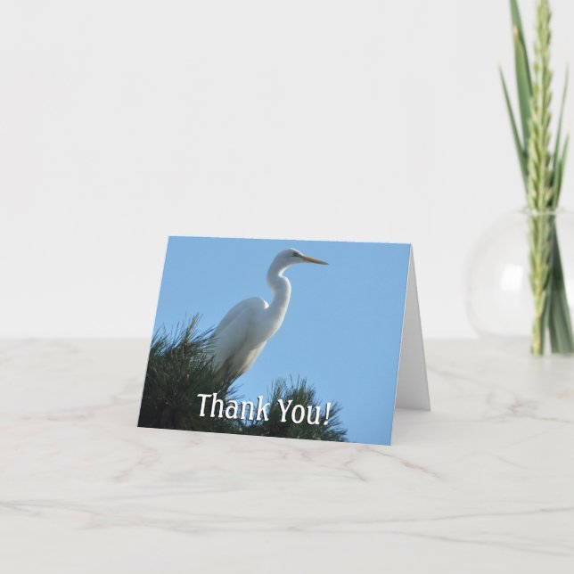Great Egret in Sunny Florida Thank You Card (Front)