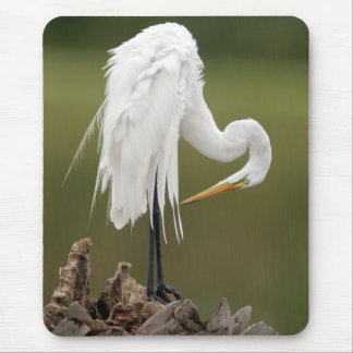 Great Egret Mouse Mat