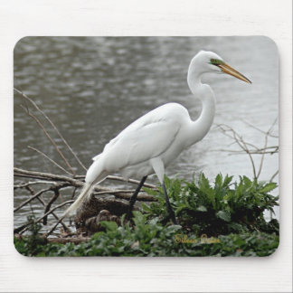 Great Egret Mouse Mat