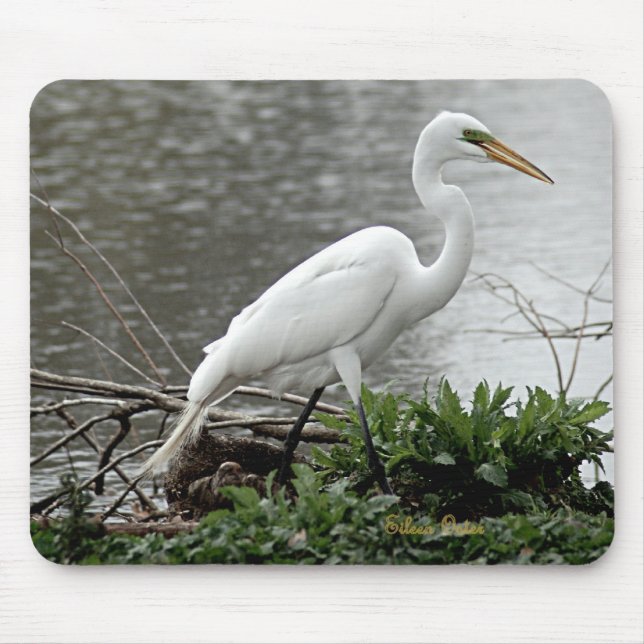 Great Egret Mouse Mat (Front)