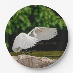 Great Egret Paper Plate