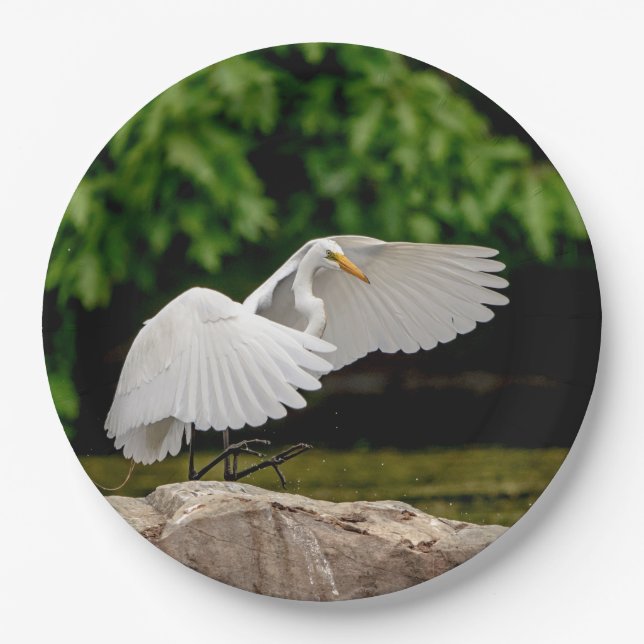 Great Egret Paper Plate (Front)