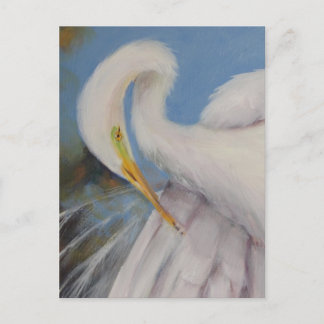 Great Egret Postcard