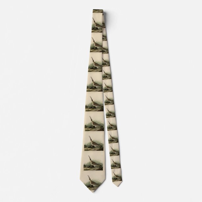 Great Esquimaux Curlew (Hudsonian) Audubon Birds  Tie (Front)